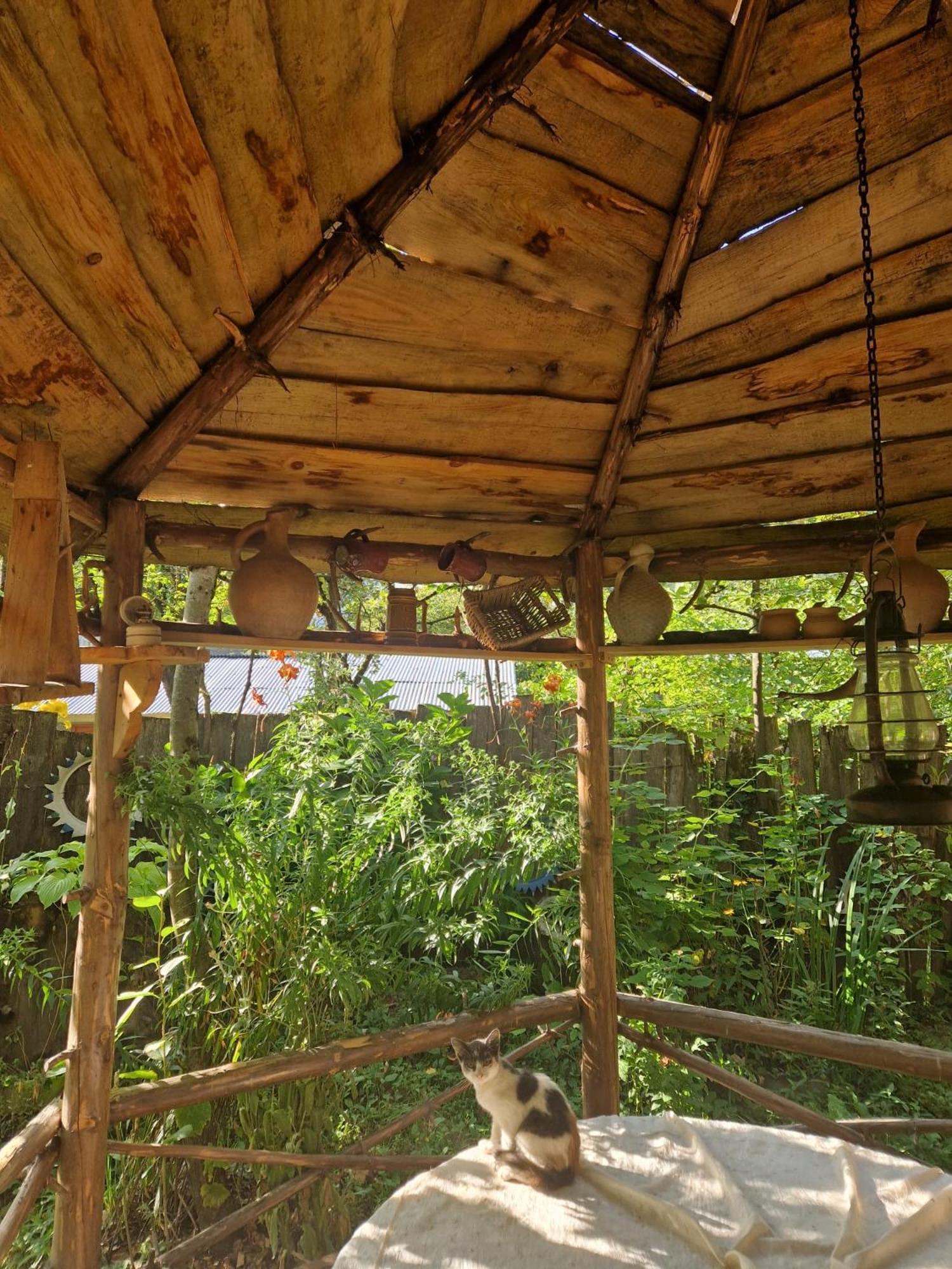 Guest House "Svaneti" Lentekhi ภายนอก รูปภาพ
