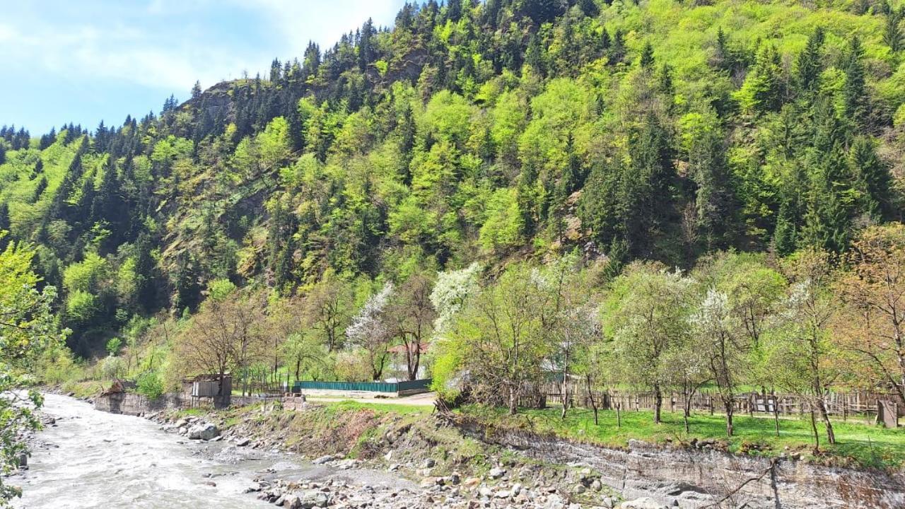 Guest House "Svaneti" Lentekhi ภายนอก รูปภาพ