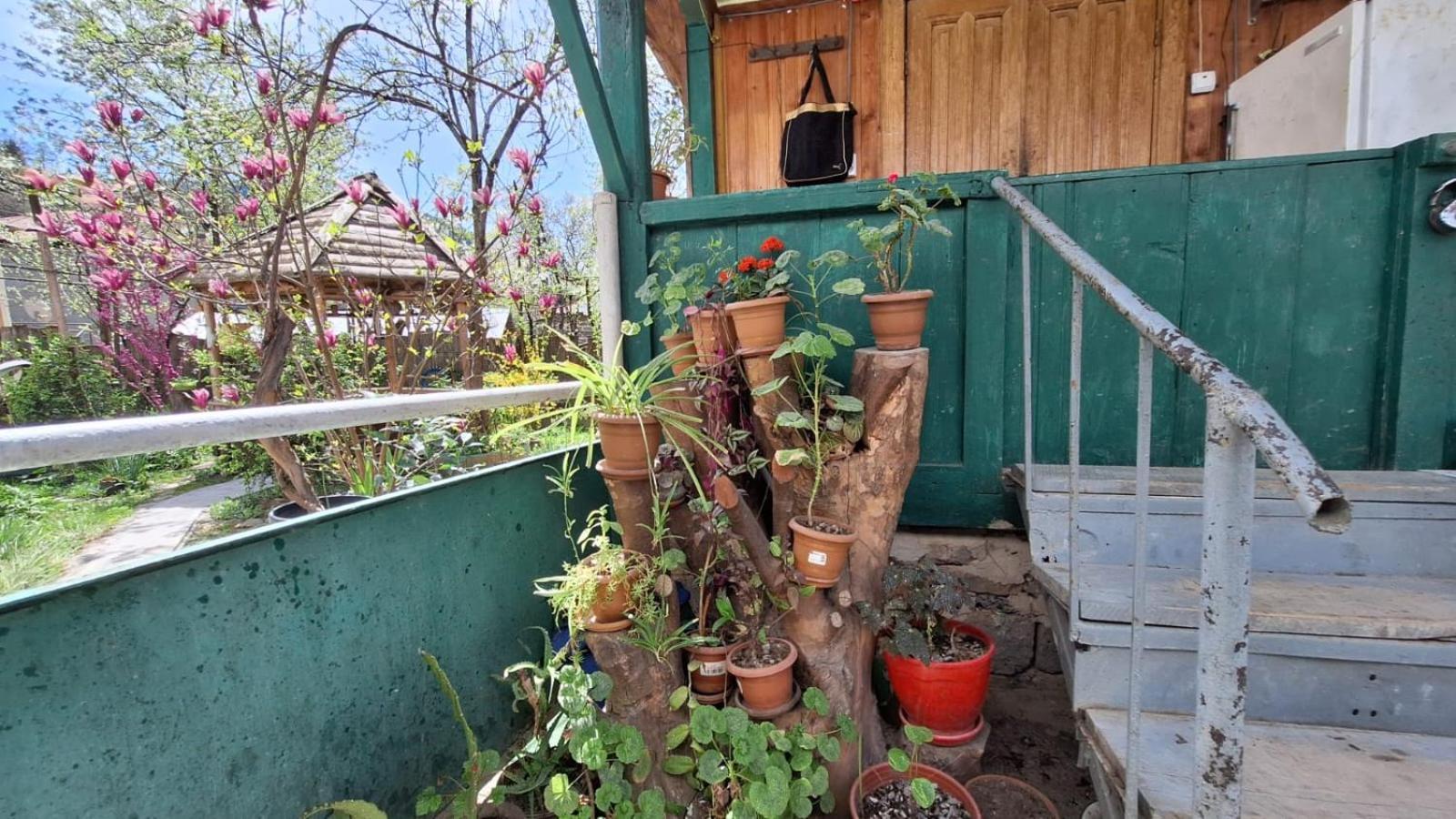 Guest House "Svaneti" Lentekhi ภายนอก รูปภาพ