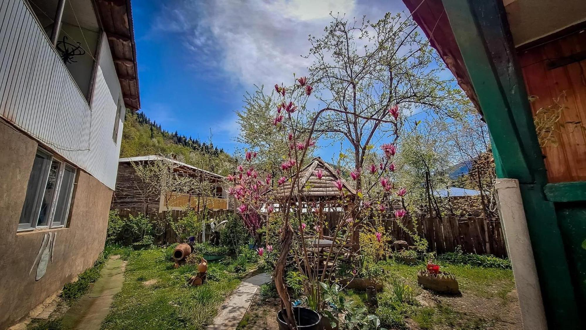 Guest House "Svaneti" Lentekhi ภายนอก รูปภาพ