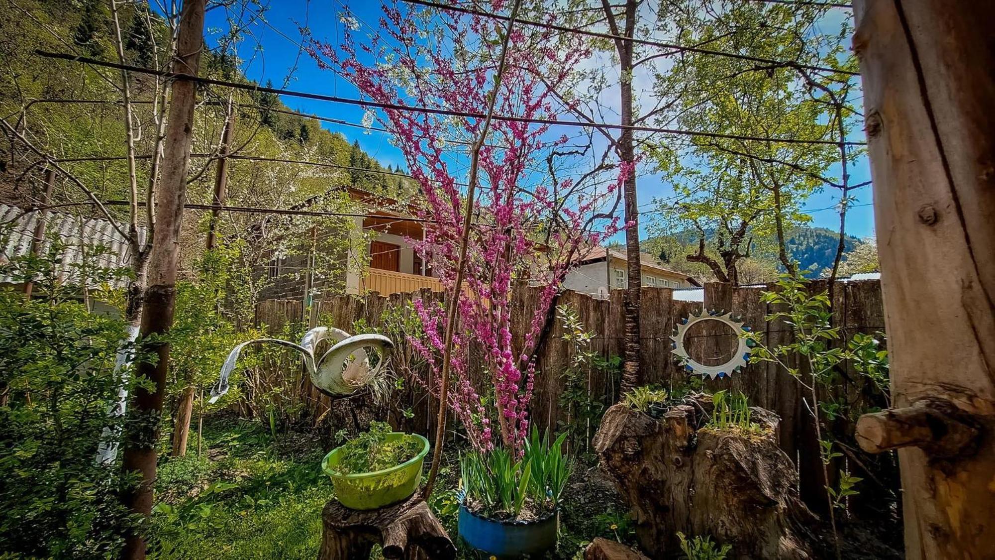 Guest House "Svaneti" Lentekhi ภายนอก รูปภาพ